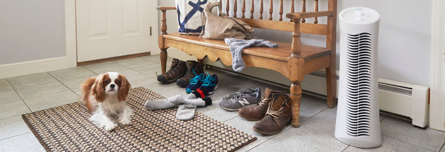 Messy room and air purifier